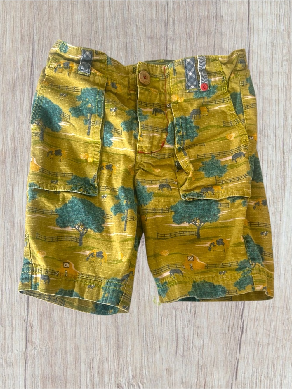 4 Matilda Jane x Joanna Gaines shorts